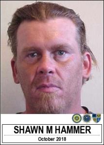 Shawn Michael Hammer a registered Sex Offender of Iowa