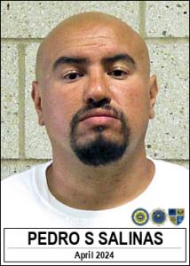 Pedro Sergio Salinas a registered Sex Offender of Iowa