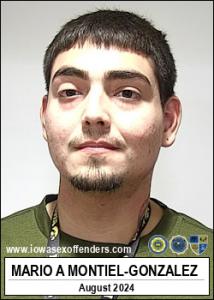 Mario Andres Montiel-gonzalez a registered Sex Offender of Iowa