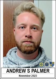 Andrew Steven Palmer a registered  of Iowa