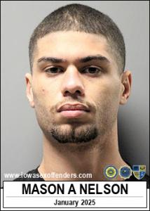 Mason Andrew Nelson a registered Sex Offender of Iowa