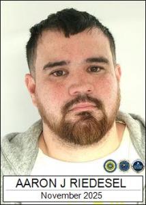 Aaron James Riedesel a registered Sex Offender of Iowa