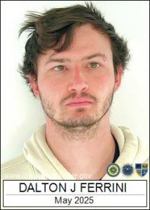 Dalton Joseph Ferrini a registered Sex Offender of Iowa