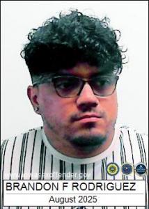Brandon Fernando Rodriguez a registered Sex Offender of Illinois