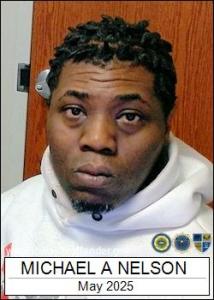 Michael Anthony Nelson a registered Sex Offender of Iowa