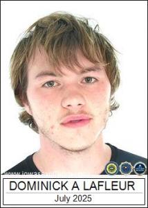 Dominick Allan Lafleur a registered Sex Offender of Iowa