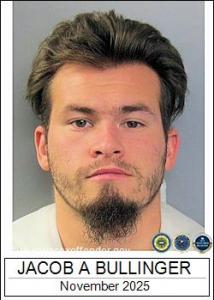 Jacob Allen Bullinger a registered Sex Offender of Iowa