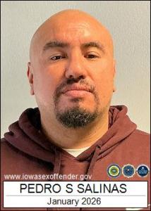 Pedro Sergio Salinas a registered Sex Offender of Iowa