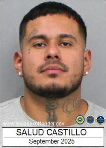 Salud Castillo a registered Sex Offender of Iowa