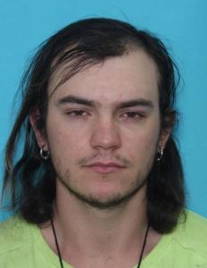Brice Armand Palmer a registered Sex Offender of Idaho
