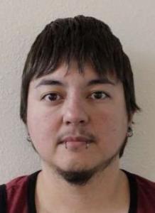 Tammy Lynn Christesen a registered  of Idaho