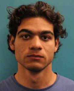 Brenton Dzhenis Nelson a registered Sex Offender of Idaho