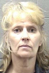 Sheri L Fanter a registered  of Illinois