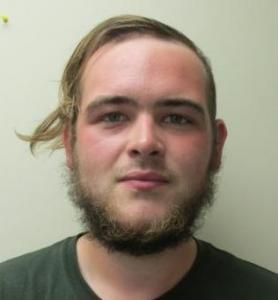 Brandon Everett Swarringin a registered Sex Offender of Illinois