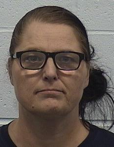 Lynn Ann Like a registered Sex Offender of Illinois