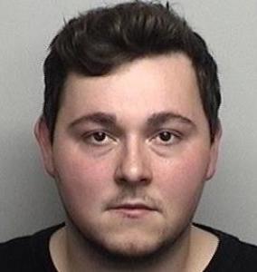 Brennan Michael Love a registered Sex Offender of Illinois