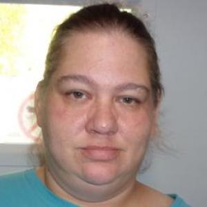 Stacey M Vandorn a registered Sex Offender of Illinois