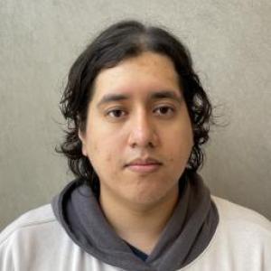 Luis S Badillo-celio a registered Sex Offender of Illinois