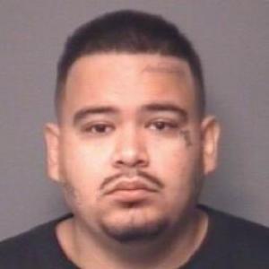 Miguel Patino a registered Sex Offender of Illinois