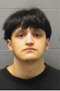 Michael Garcia Gutierrez a registered Sex Offender of Illinois