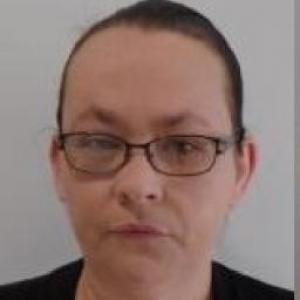 Mindy L Boyer a registered Sex Offender of Illinois
