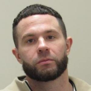 Michael Scott Lane a registered Sex Offender of Illinois