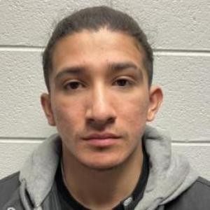 Cesar Olaguez a registered Sex Offender of Illinois