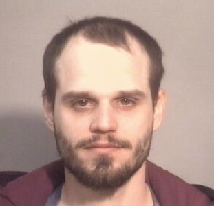 Brandon N Lunini a registered Sex Offender of Illinois