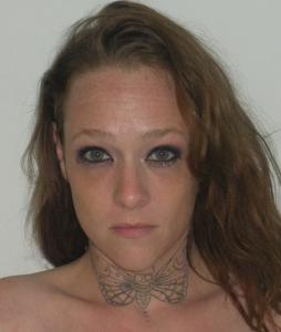 Ashley N Wills a registered Sex Offender of Illinois