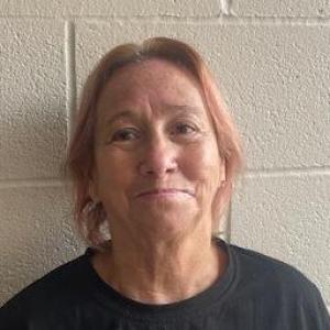 Mary Ellen Folk a registered Sex Offender of Illinois