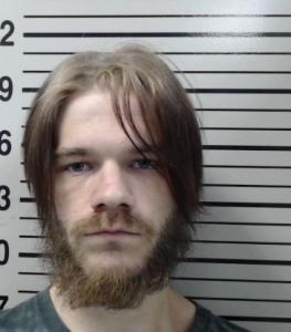 Brandon C Edwards a registered Sex Offender of Illinois