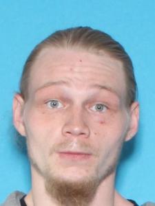 Allan E Ingram a registered Sex Offender of Illinois