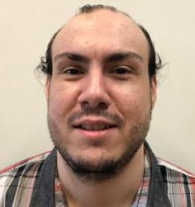 Luis E Carlo a registered Sex Offender of Illinois