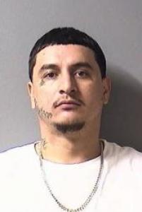 Ricardo Nunez a registered Sex Offender of Illinois