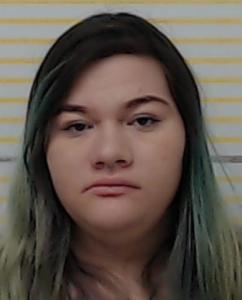 Emily Ann Hammer a registered Sex Offender of Illinois