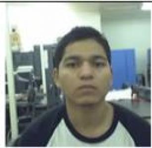 Ulises Estela a registered  of Illinois