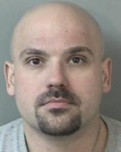 Brian W Lowe a registered Sex Offender of Illinois