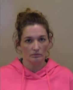 Courtney Ann Runion a registered  of Illinois