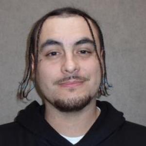 Michael P Loflin a registered Sex Offender of Illinois