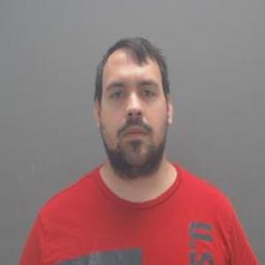 Aaron J Michael a registered Sex Offender of Illinois