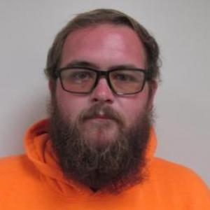 Brandon Everett Swarringin a registered Sex Offender of Illinois
