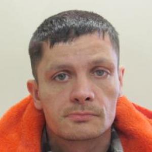 Brandon L Mathis a registered Sex Offender of Illinois