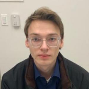 Nikolas A Sarabyn a registered Sex Offender of Illinois