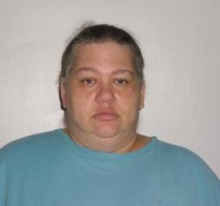 Stacey M Vandorn a registered Sex Offender of Illinois