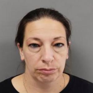 Michelle L Andersen a registered Sex Offender of Illinois