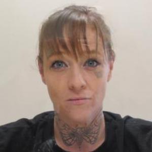 Ashley N Wills a registered Sex Offender of Illinois