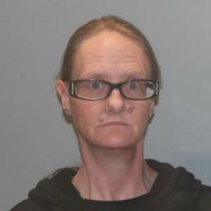 Erika Lynn Robertson a registered Sex Offender of Illinois