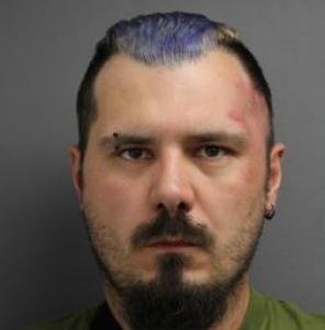 Robert Lee Ray a registered Sex Offender of Illinois