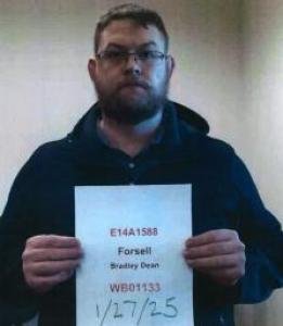 Bradley D Forsell a registered Sex Offender of Illinois
