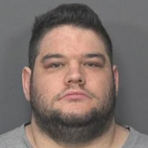 Declan Birmingham a registered Sex Offender of Illinois